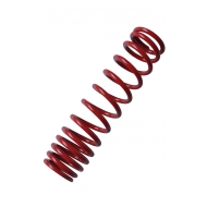 Rear shock absorber spring