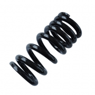 Rear shock absorber spring