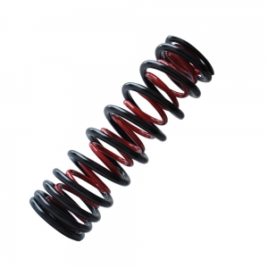 Rear shock absorber spring