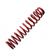 Rear shock absorber spring