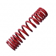 Rear shock absorber spring